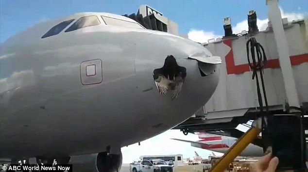 Ave se queda incrustada en avión tras chocar con él a medio vuelo