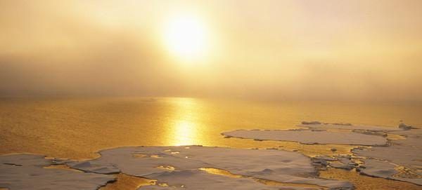 Actividad humana pudo influir en cambio climático reconoce EE.UU.