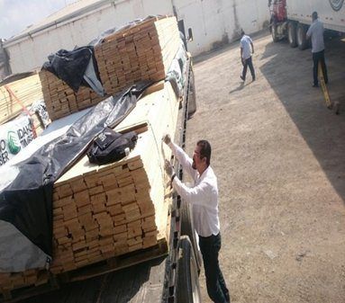 PROFEPA impide ingreso de madera plagada proveniente de EE. UU. - cargamento-madera-plaga-e1510181600800