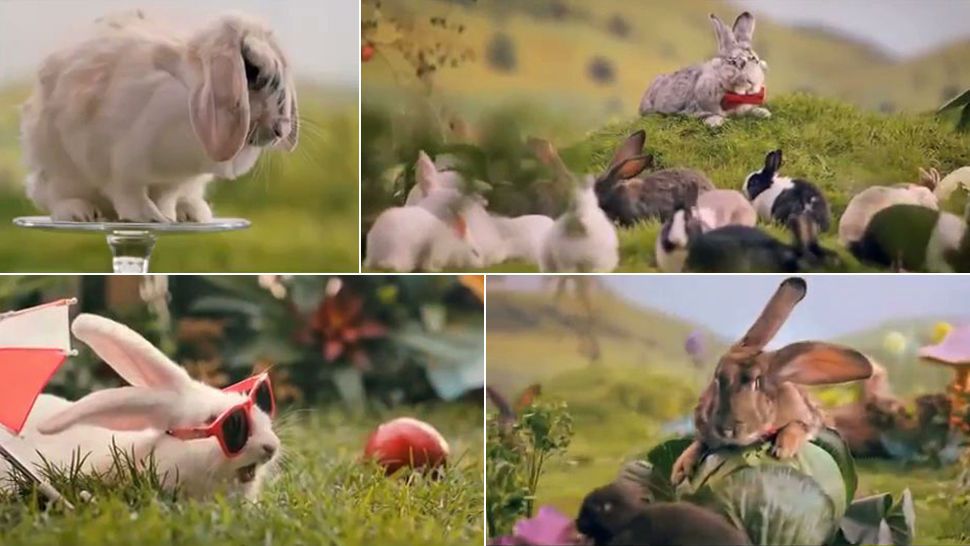 Polonia pide a sus ciudadanos procrear como conejos