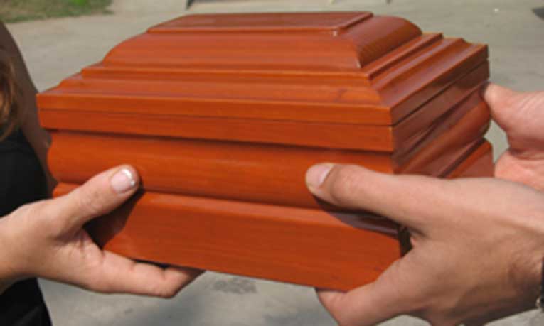 El impacto ambiental de la cremación