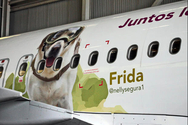 Volaris homenajea a Frida la perra rescatista