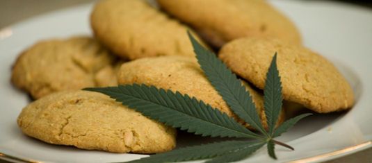 Aseguran inmueble en donde producían galletas con mariguana Aseguran inmueble en donde producían galletas con mariguana