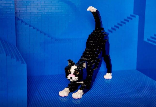 Airbnb lanza concurso para ganar una noche de hospedaje en Casa Lego - gato-lego