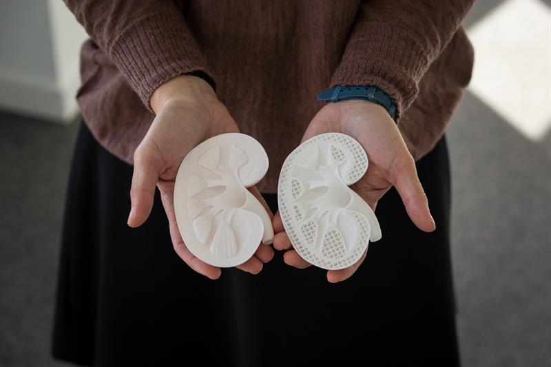 Crean impresora 3D para tejidos humanos