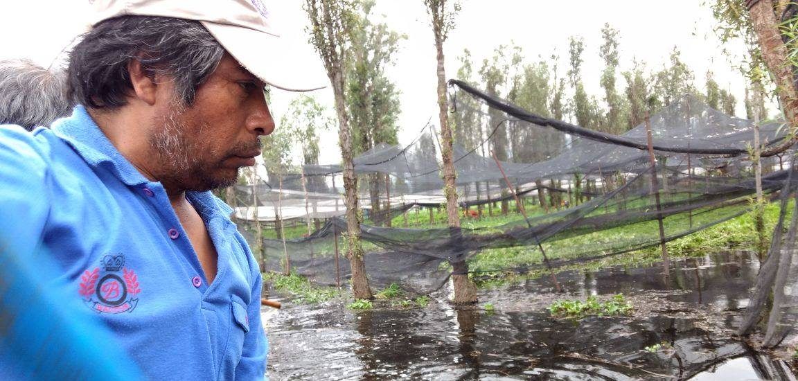 Preparan programa de recuperación para zonas afectadas por lluvias y sismos