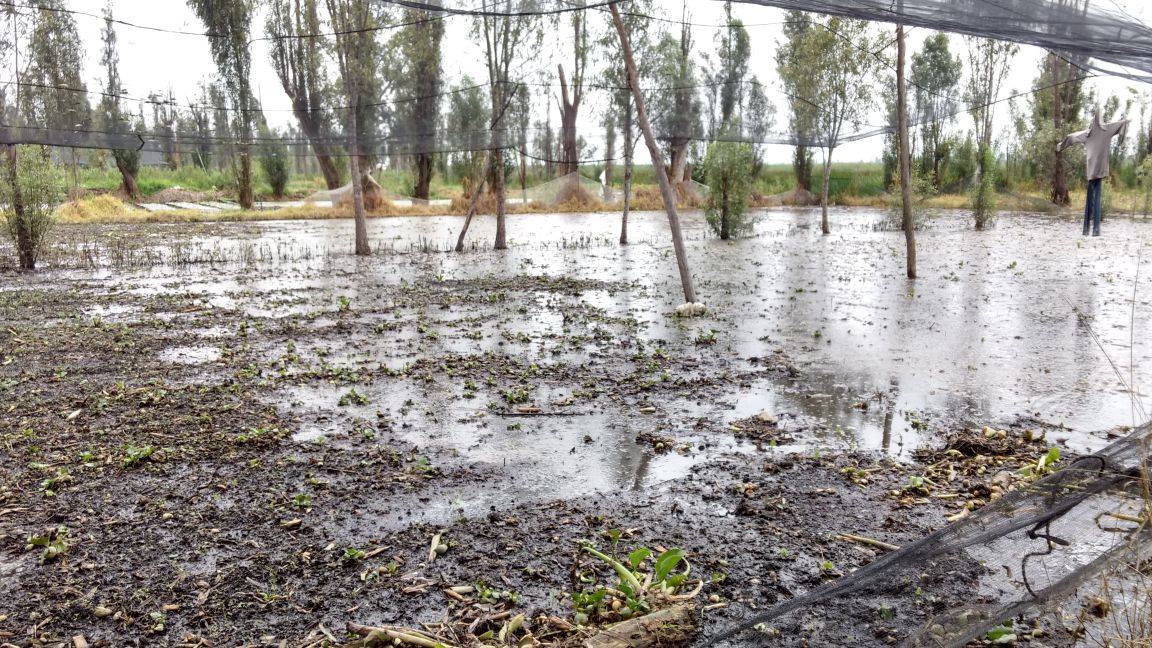 Preparan programa de recuperación para zonas afectadas por lluvias y sismos - inundacion-xochimilco2