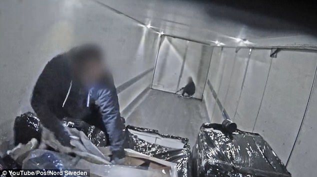 #Video Roban camión en movimiento y les tienden una trampa - ladrón