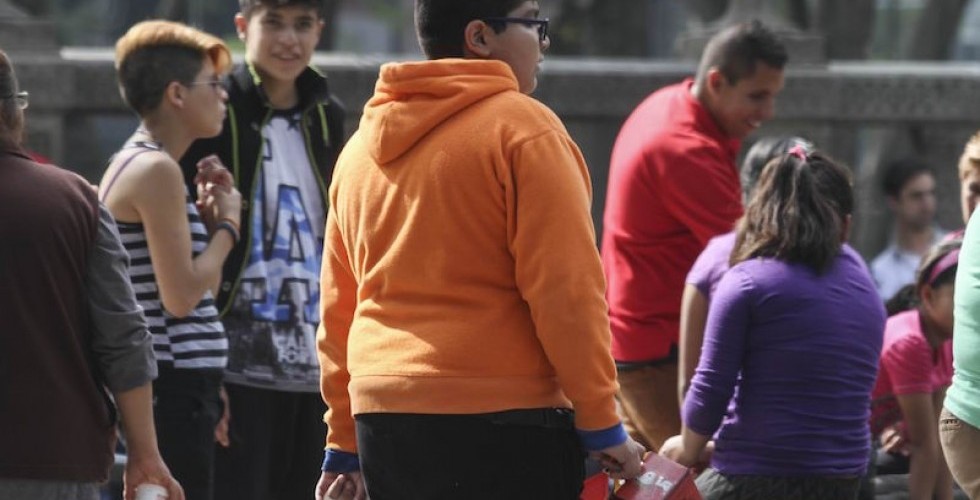 México es el país con más obesidad y sobrepeso de la OCDE - obesidad