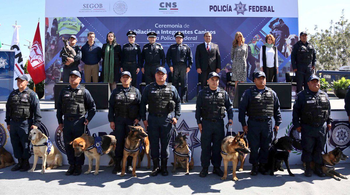 Policía Federal jubila a 14 oficiales caninos