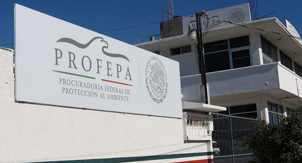 Sancionan a cinco hoteles en Los Cabos por incumplir obligaciones ambientales