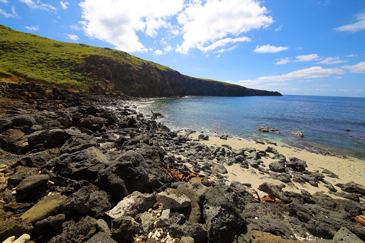 Fortalecerán vigilancia en Revillagigedo