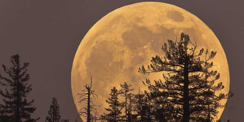 Se acerca la única Súper Luna del año