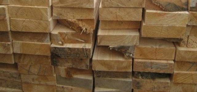 PROFEPA impide ingreso de madera plagada proveniente de EE. UU.