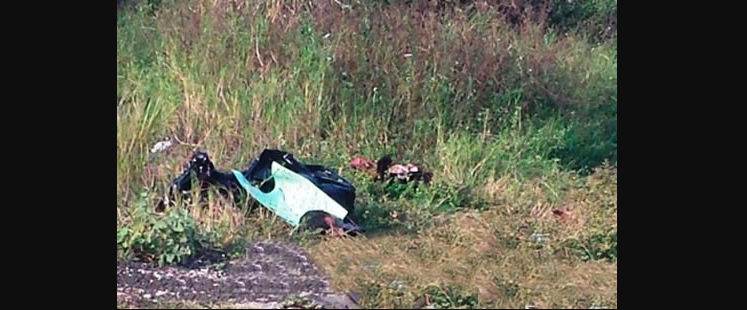 Encuentran cuerpo desmembrado en Veracruz Encuentran cuerpo desmembrado en Veracruz