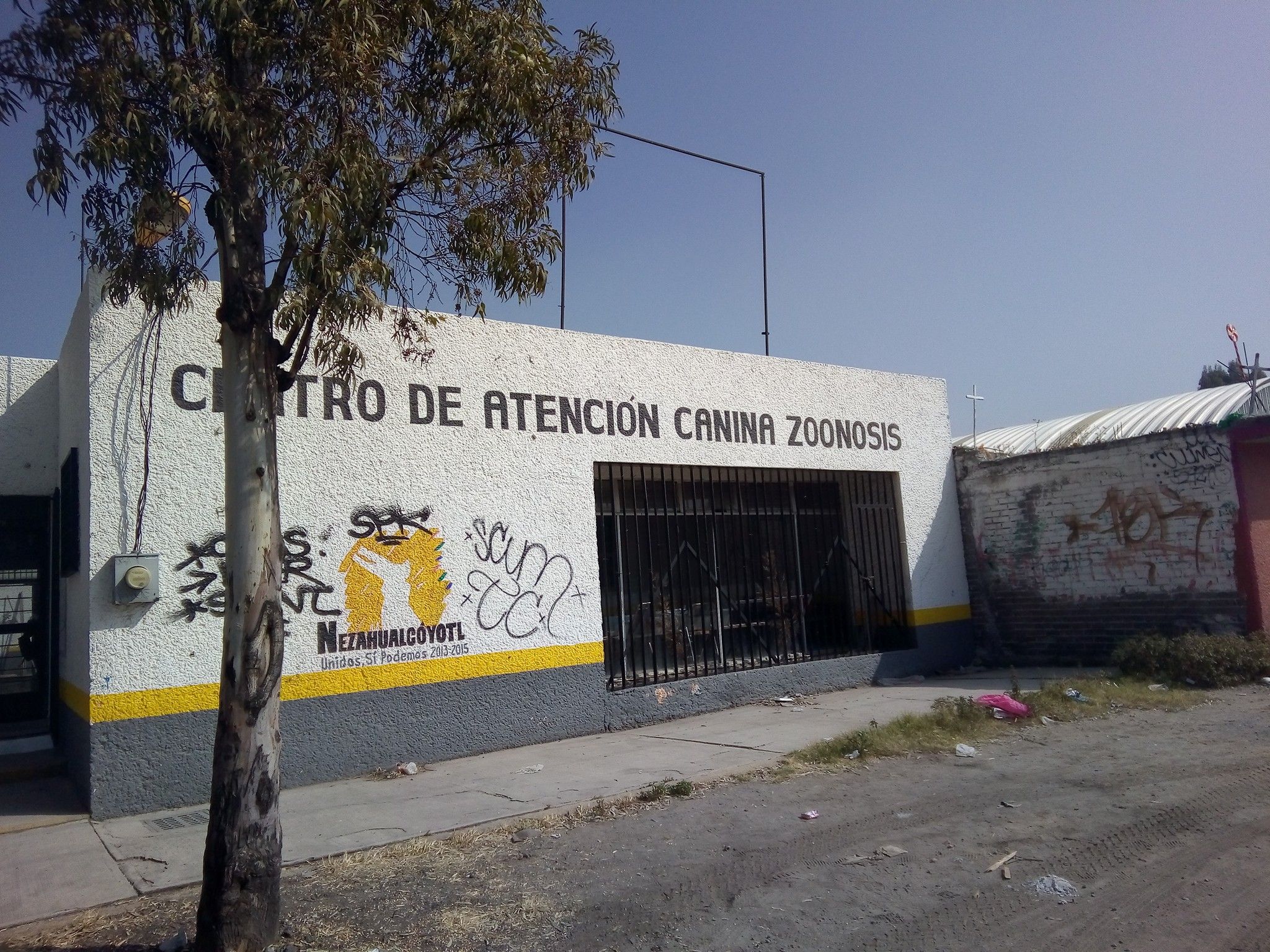 #Video Pagan rescate de perro y antirrábico lo entrega muerto