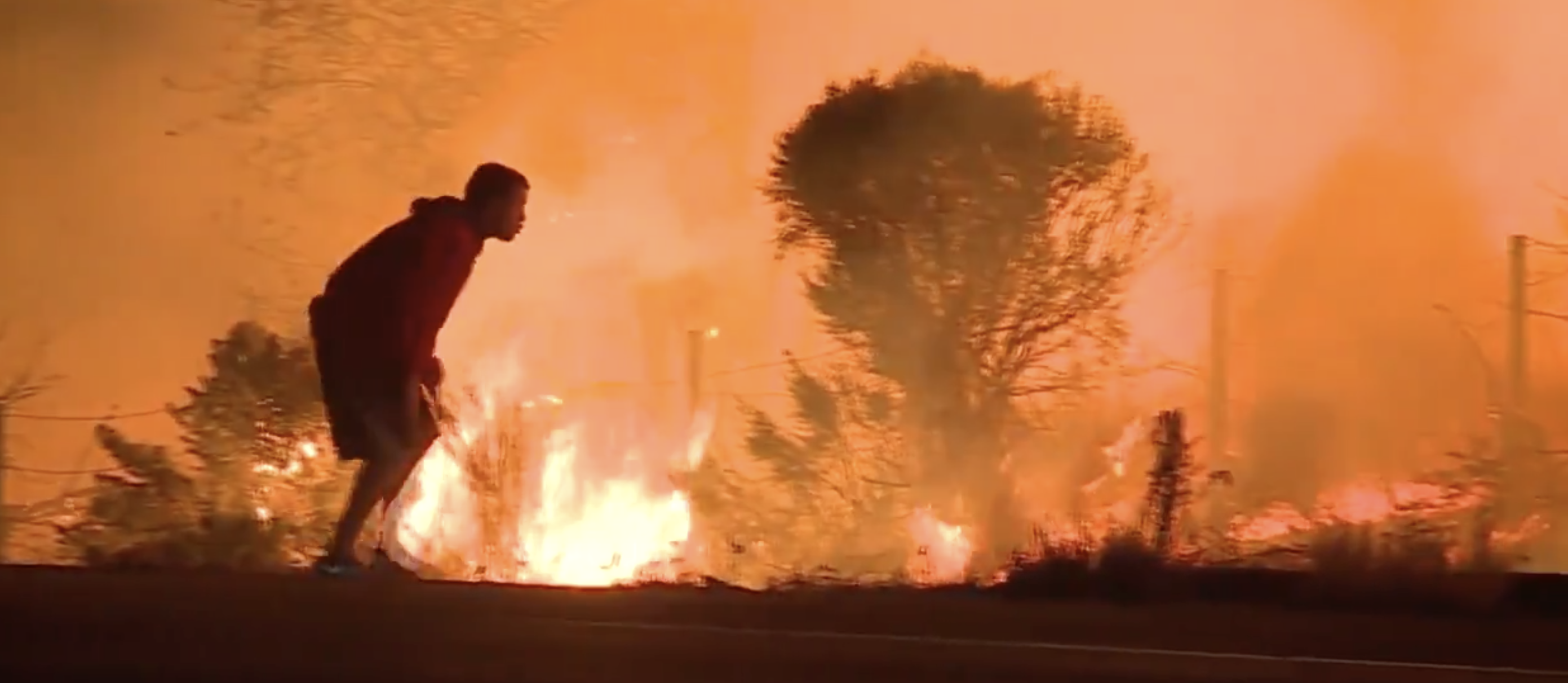 #Video Hombre rescata a conejo salvaje de incendio de California