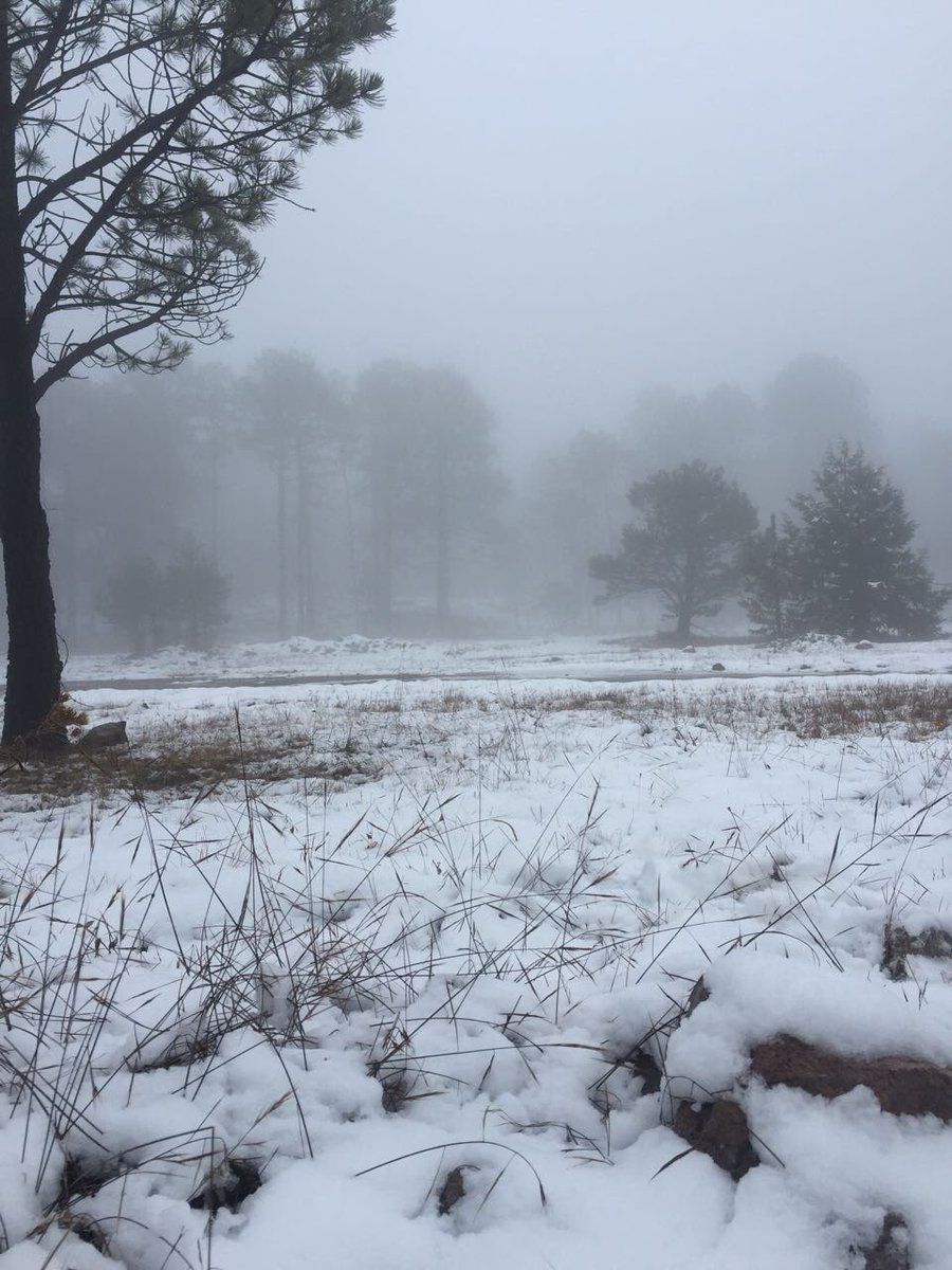 Esperan temperaturas de hasta menos cinco grados en Nochebuena
