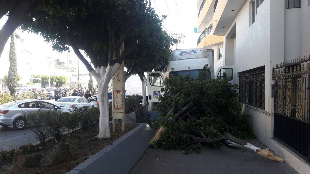 Tráiler embiste a  seis vehículos en León