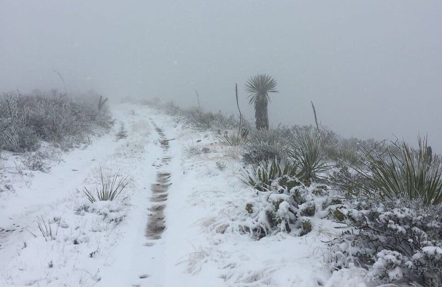 Prevén nevadas y vientos fuertes al norte del país