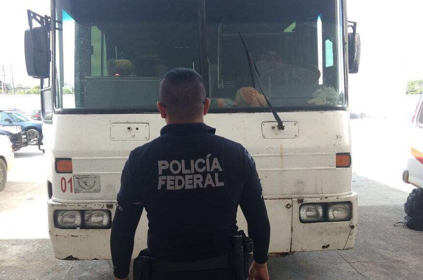 Rescatan a 64 indocumentados en carretera de Veracruz