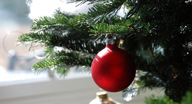 Mueren cinco personas mientras adornaban árbol de Navidad