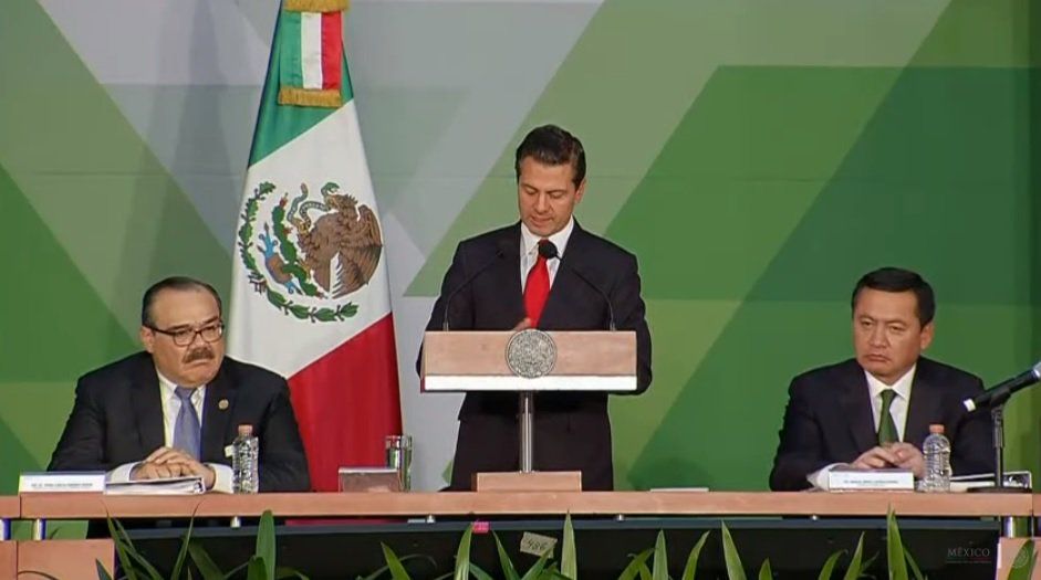 Peña Nieto anuncia iniciativa de ley para facilitar proceso de adopción