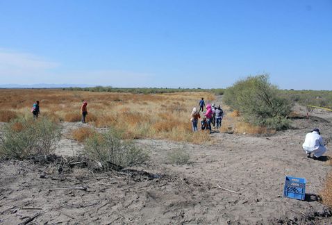 Descubren más de tres mil restos óseos en fosa clandestina en Coahuila