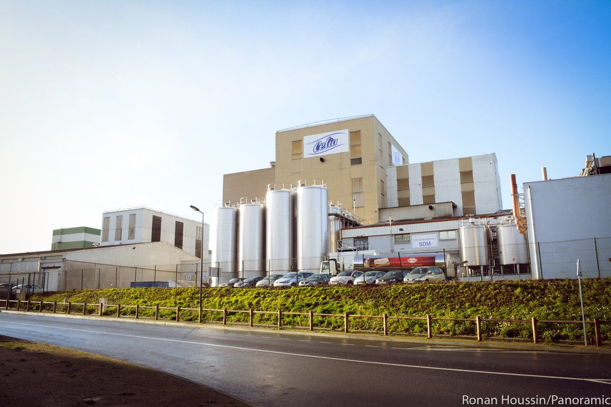 Investigan caso de leche para bebé contaminada en Francia