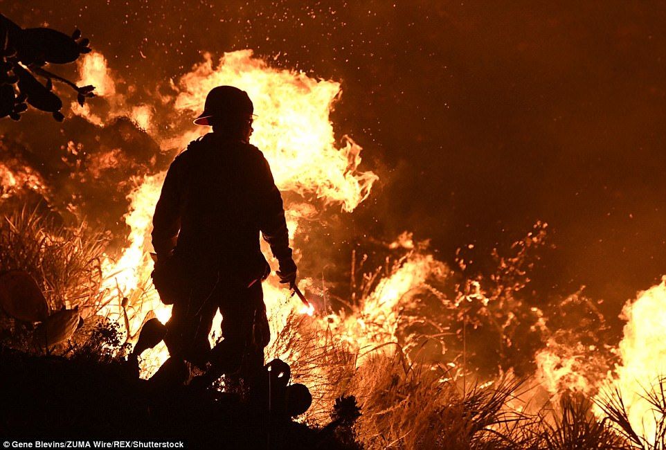 Evacuan miles de casas en California por incendio forestal Evacuan miles de casas en California por incendio forestal