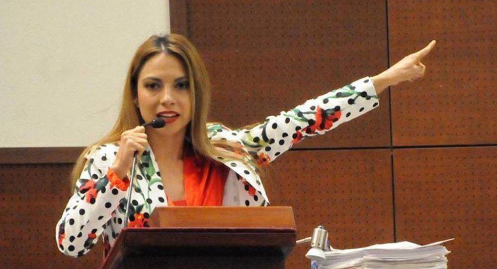 Diputada del PES reparte pollos rostizados con su fotografía en el empaque