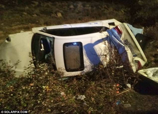 Técnico de Valencia choca con un jabalí