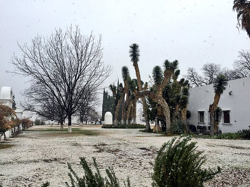 Fonden apoyará a 10 mil damnificados por nevada en Coahuila