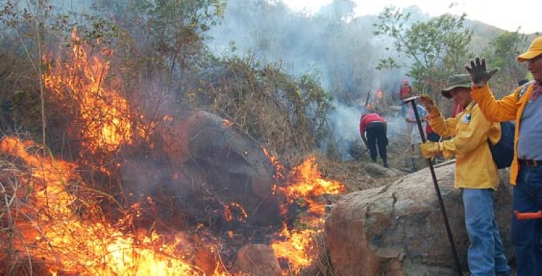 Incendio en el Pico de Orizaba consume más de 10 hectáreas
