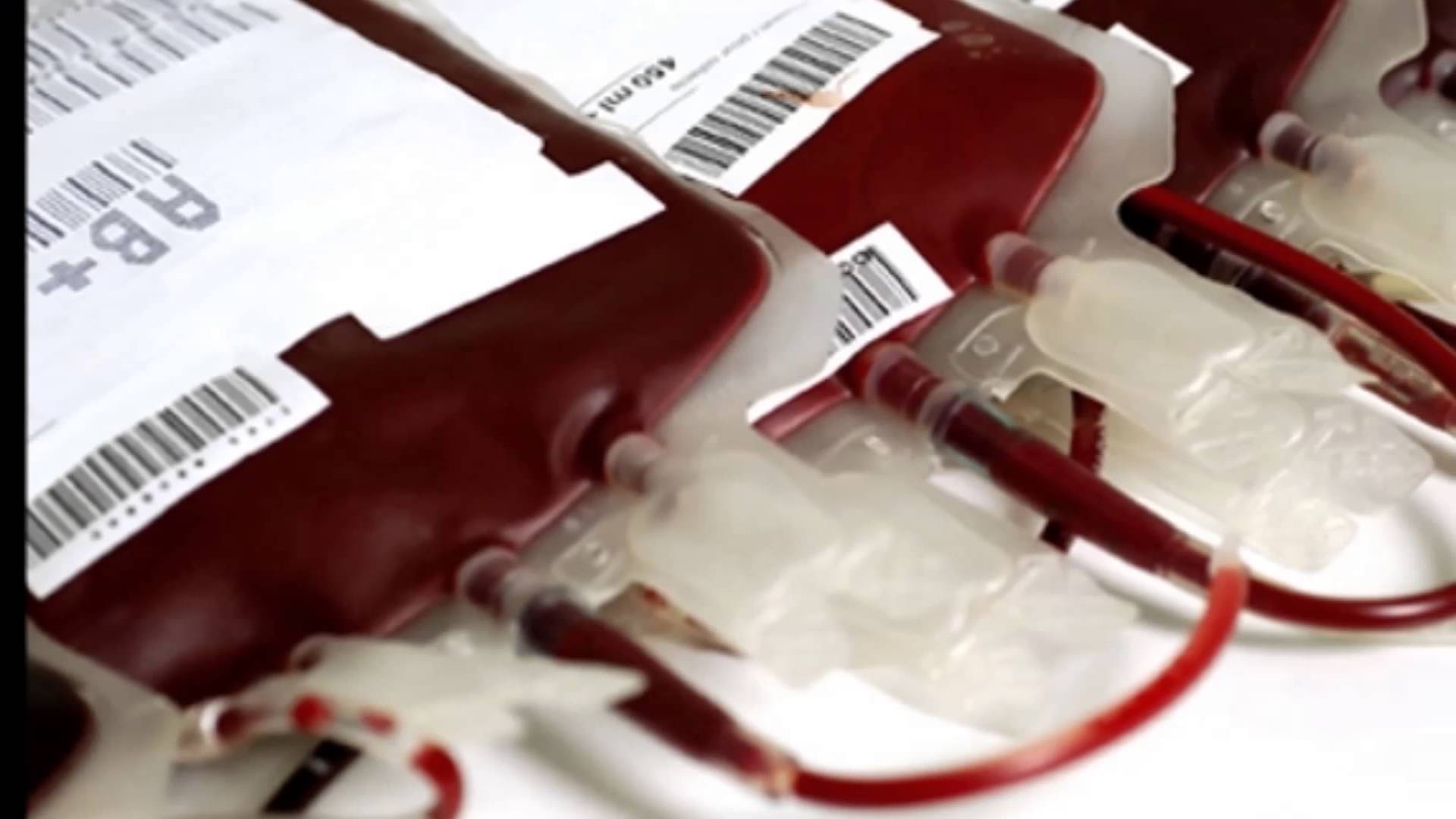 Mueren 3 mil 805 mexicanos al año por envenenamiento de sangre