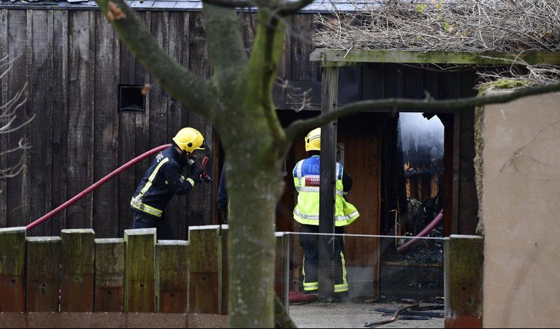 Incendio en zoológico deja cuatro animales desaparecidos en Londres