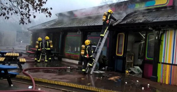 Muere oso hormiguero en incendio de zoológico de Londres