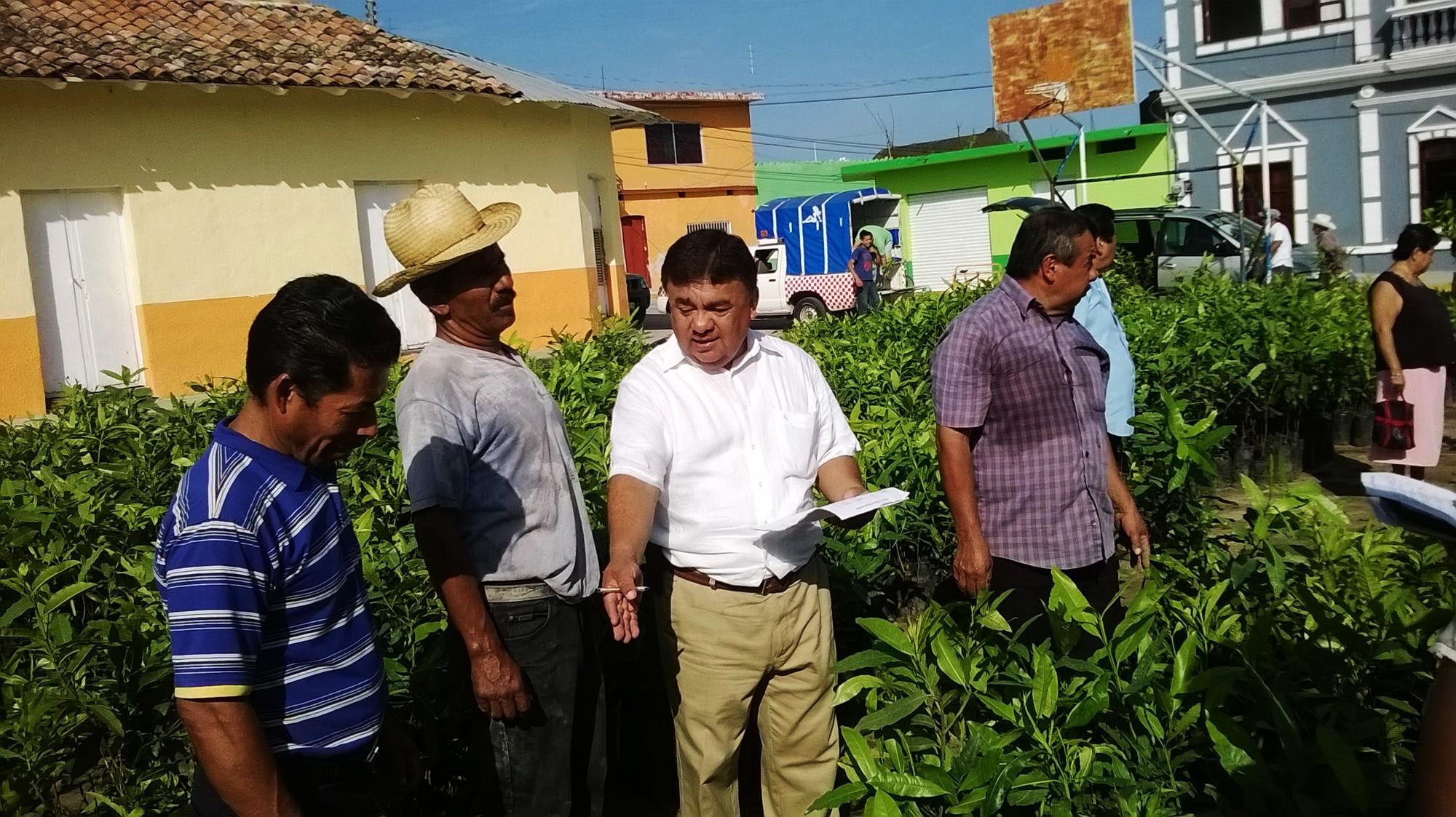 Asesinan a exalcalde perredista veracruzano