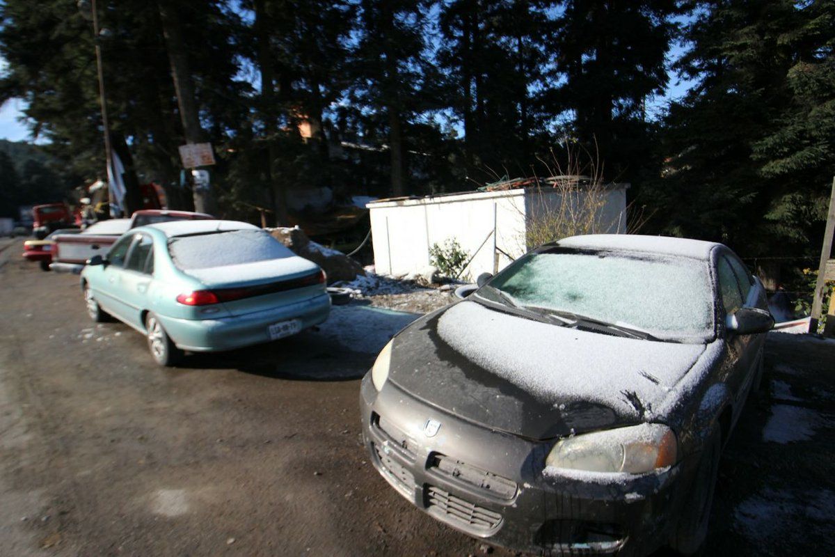 Alerta Roja en cinco delegaciones por aguanieve