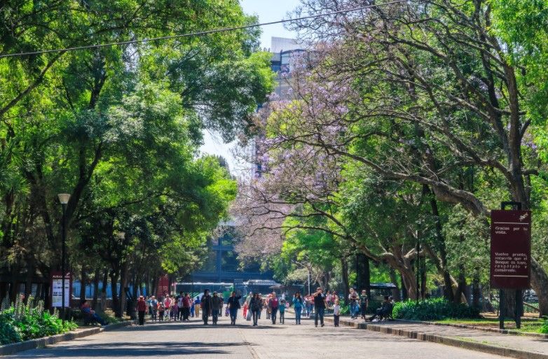 Detienen a hombre que robó triciclo en Chapultepec