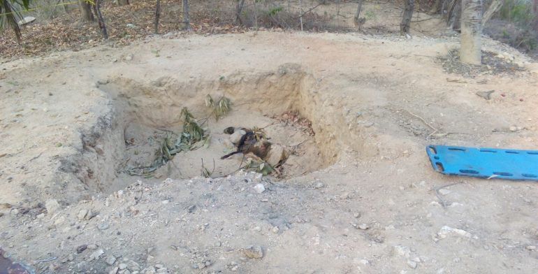 Recuperan ocho cuerpos de fosa en Chilpancingo