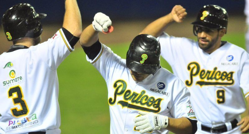 Lorenzo Bundy nuevo manager de Pericos de Puebla