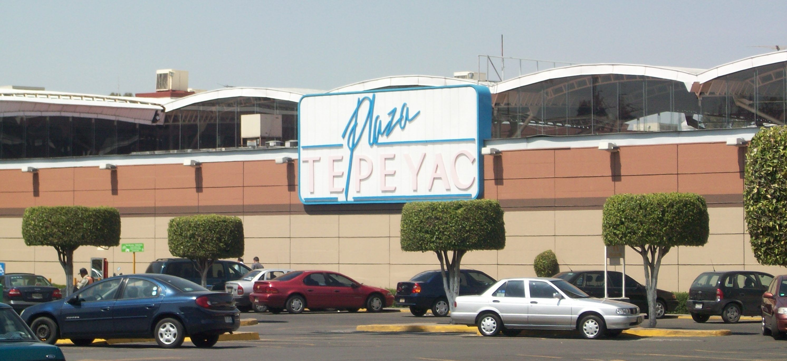 Detienen a tres por robo de perro en tienda de mascotas