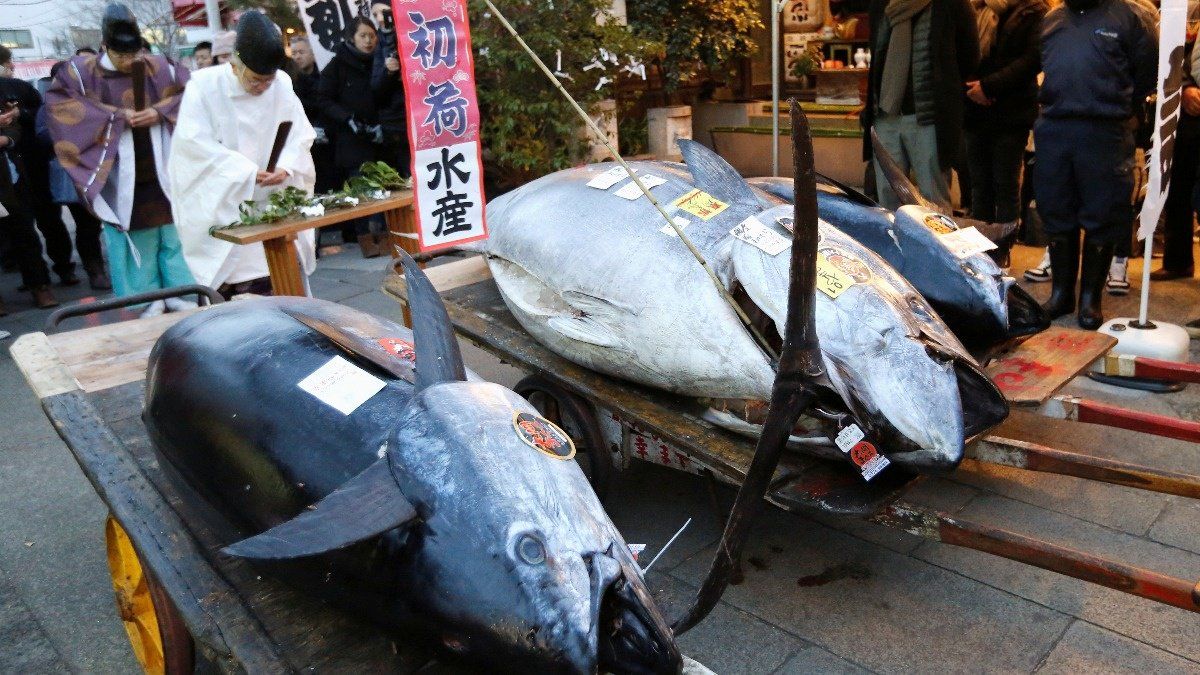 Subastan atún en Japón en 320 mil dólares
