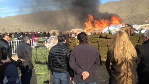 Incineran más de cinco toneladas de drogas en Coahuila