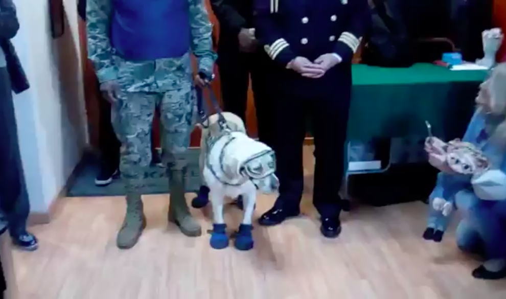 Frida dona sus botas al Museo del Calzado