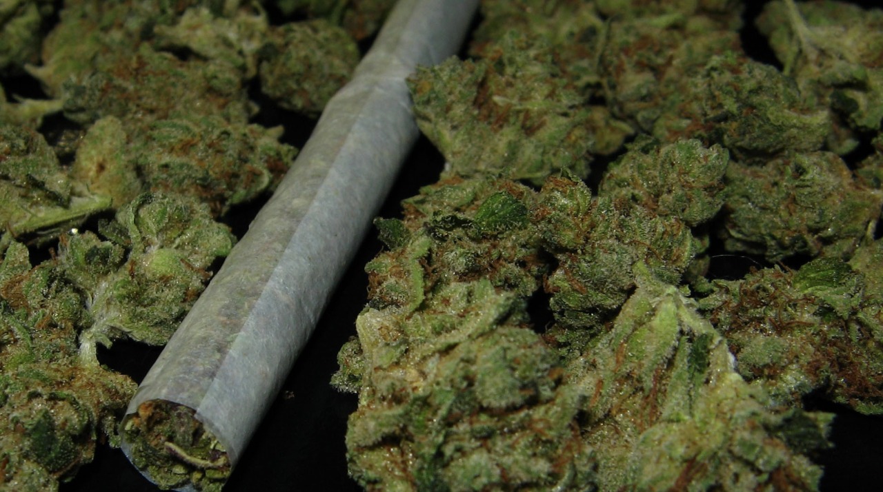 Secretaría de Turismo propone legalizar mariguana en destinos turísticos