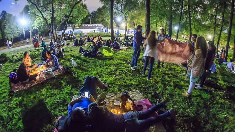 Realizarán picnics nocturnos en bosques de Chapultepec y Aragón