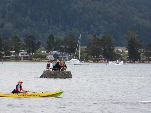 Jóvenes construyen isla para evitar multa por beber alcohol
