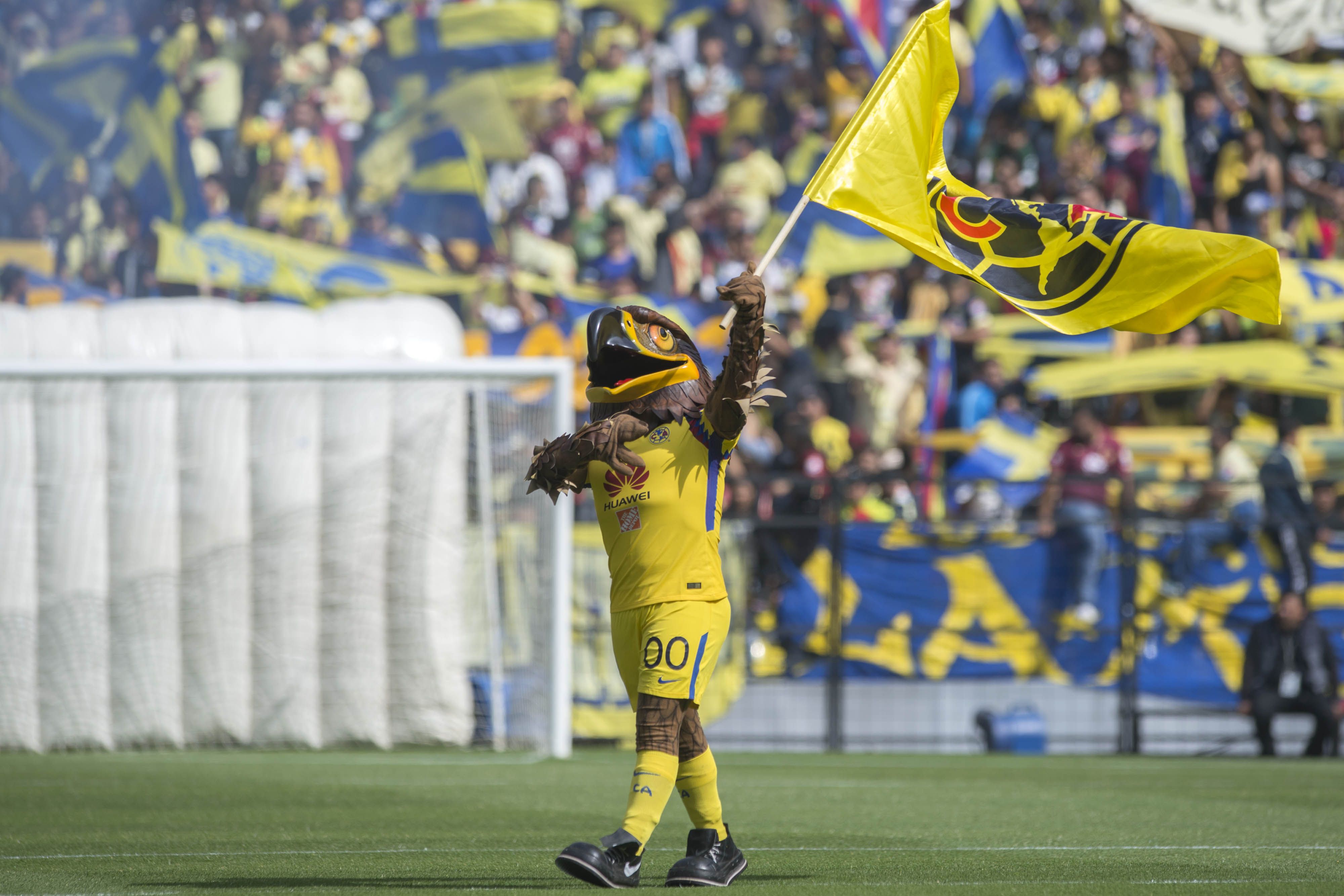 #VIDEO Mascota del América pide matrimonio en el Estadio Azteca